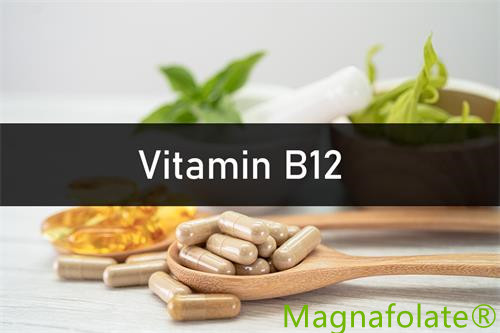 Vitamín B12: Úvod, Úžitok, Zdravie