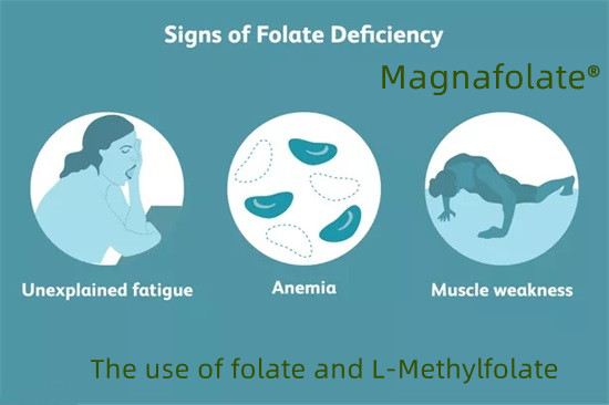 Použitie folátu a L-metylfolátu