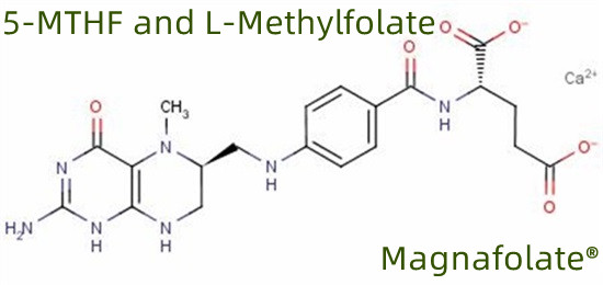 5-MTHF a L-metylfolát