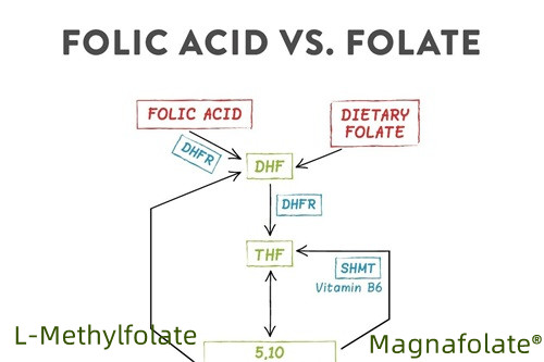 Súhrn folátu a L-metylfolátu