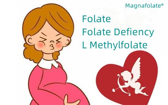 Folate a Folate deficit