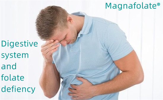 Tráviaci systém a nedostatok folátu - Magnafolate