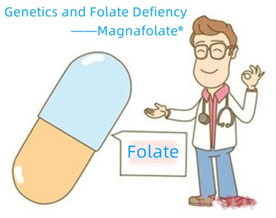 Genetika a nedostatok folátov-magnafolát