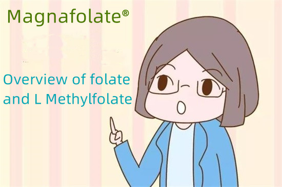 Prehľad folátu a L metylfolátu