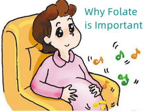 Prečo je folát dôležitý?