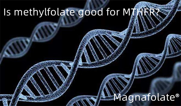 Je metylfolát dobrý pre MTHFR?