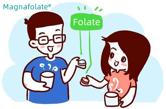 Koľko folátu by ste mali denne prijať?