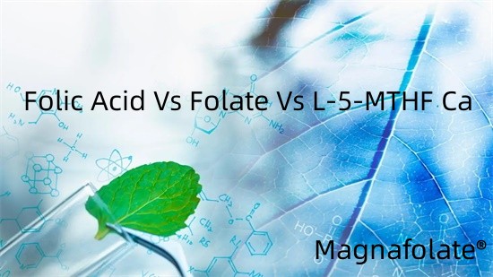 Kyselina listová vs folát vs L-5-MTHF Ca
