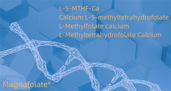 L-5-metyltetrahydrofolát vápenatý Cas151533-22-1
