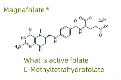 Čo je aktívny folát a L-metyltetrahydrofolát