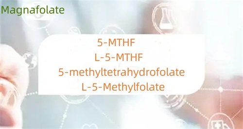 Aký je rozdiel medzi 5-metyltetrahydrofolátom a folátom