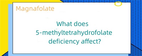Čo ovplyvňuje nedostatok 5-metyltetrahydrofolátu?