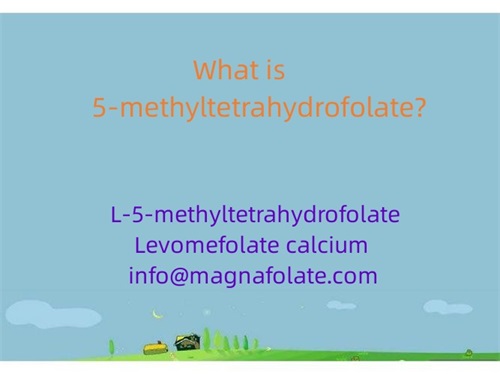 Čo je 5-metyltetrahydrofolát?