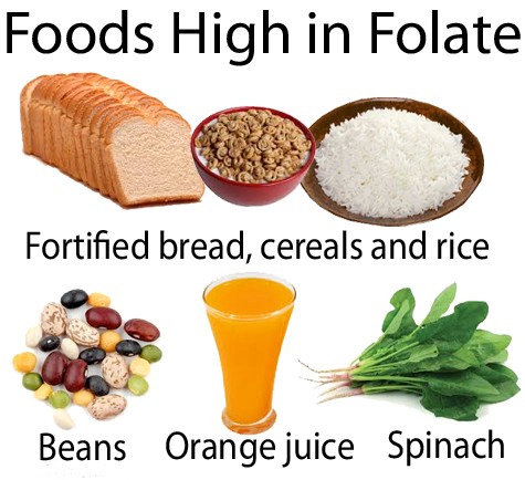 Klasifikácia folátu - dietetický folát
