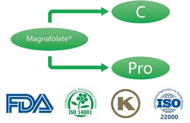 Čo je L-5-metyltetrahydrofolát vápenatý? Akí sú dodávatelia?
