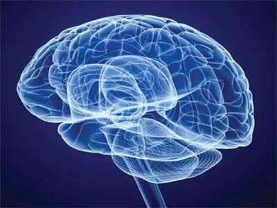 Folát chráni nervový systém a zabraňuje demencii a Parkinsonovej chorobe