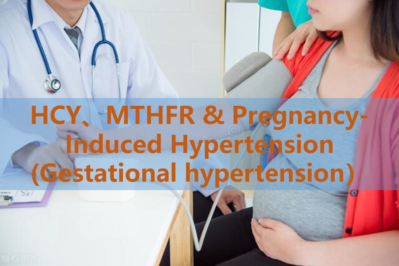 Suplementácia folátu a hypertenzia vyvolaná tehotenstvom (gestačná hypertenzia): Úloha hladín homocysteínu a genetických polymorfizmov MTHFR a MTHFR