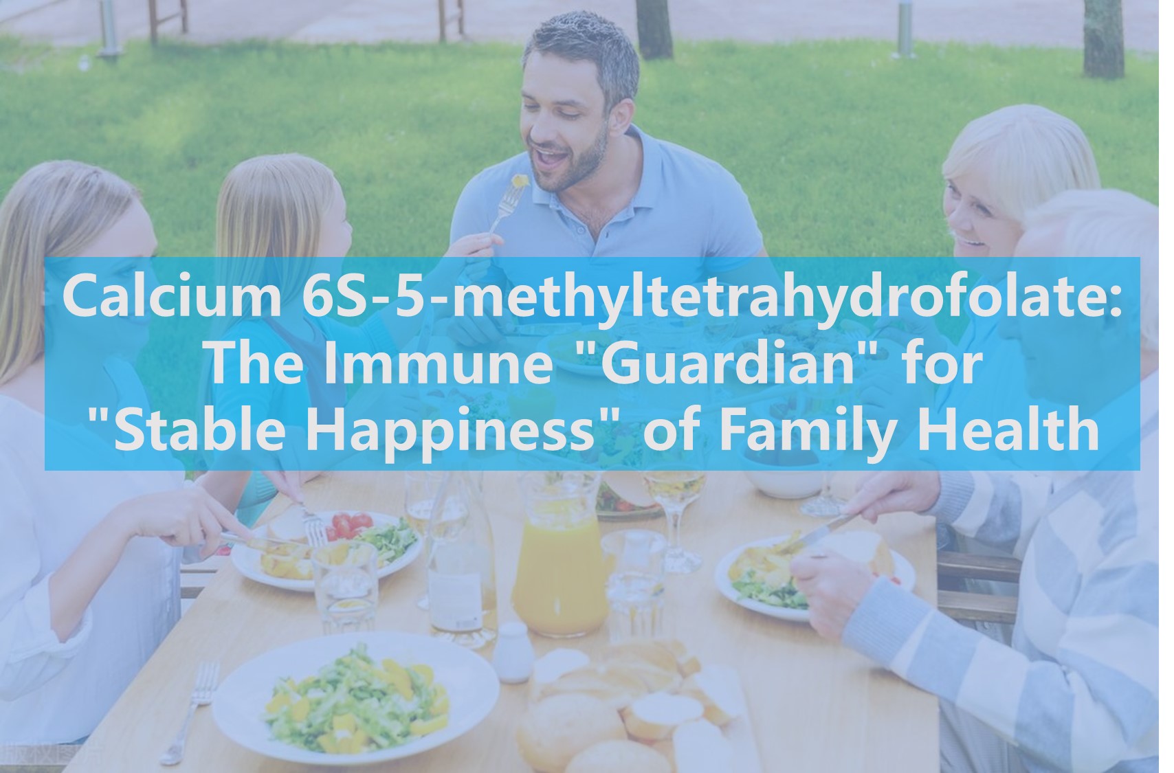 Vápnik 6S-5-metyltetrahydrofolát: imunitný „Guardian“ pre „stabilné šťastie“ v rodinnom zdraví